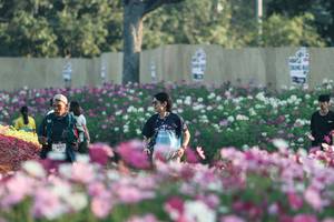 BIB: 
                            <button type="button" onclick="openModal(27344104)" class="btn btn-primary btn-sm float-right btn-popup" data-toggle="modal" data-target=".modal-high-quality">
                        <i class="fas fa-shopping-cart"></i> Add to Cart
                    </button>
                                            <button type="button" onclick="isThisMe(27344104, true)" class="btn btn-success btn-sm float-right btn-popup btn-isme hidden" data-toggle="tooltip" data-placement="bottom" title="นี่คือรูปของคุณใช่ไหม คลิกที่นี่เพื่อเอาเข้าอัลบั้ม">
                        <i class="fas fa-plus"></i> Add to album
                    </button>
                    <button type="button" onclick="isThisMe(27344104, false)" class="btn btn-warning btn-sm float-right btn-popup btn-isnotme hidden">
                        <i class="fas fa-ban"></i> Remove from album
                    </button>